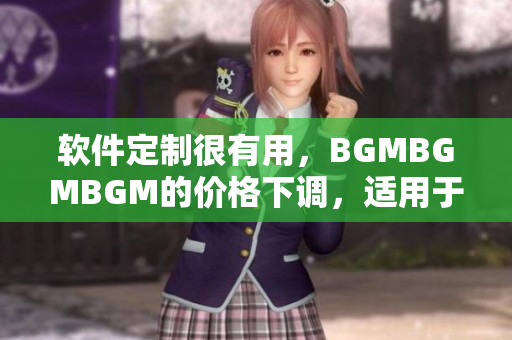 軟件定制很有用，BGMBGMBGM的價(jià)格下調(diào)，適用于企業(yè)和個(gè)人