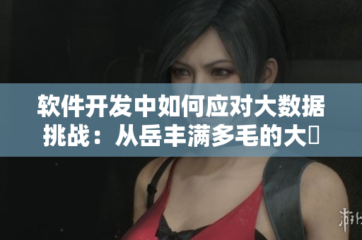 軟件開發(fā)中如何應(yīng)對大數(shù)據(jù)挑戰(zhàn)：從岳豐滿多毛的大隂戶中獲得啟發(fā)