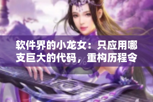 軟件界的小龍女：只應(yīng)用哪支巨大的代碼，重構(gòu)歷程令人感悟深刻