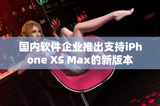 國內(nèi)軟件企業(yè)推出支持iPhone XS Max的新版本