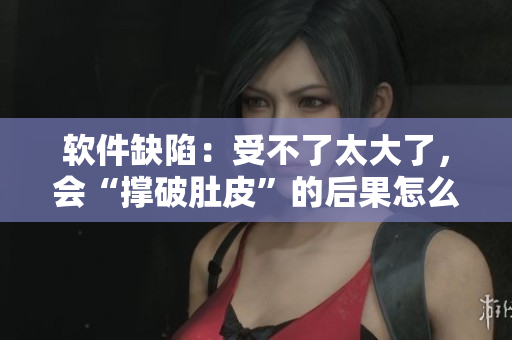 軟件缺陷：受不了太大了，會(huì)“撐破肚皮”的后果怎么辦？