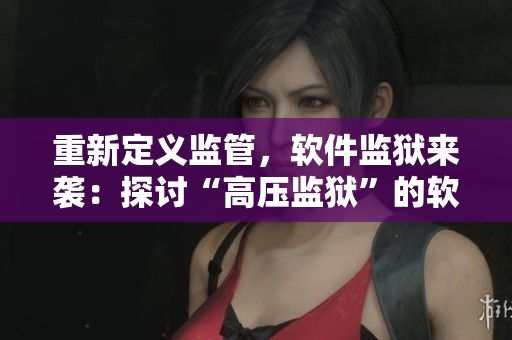 重新定義監(jiān)管，軟件監(jiān)獄來(lái)襲：探討“高壓監(jiān)獄”的軟件化轉(zhuǎn)型