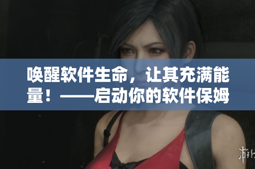 喚醒軟件生命，讓其充滿能量！——啟動你的軟件保姆。